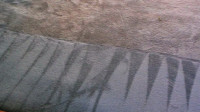 Professional Carpet Cleaning in South Florida