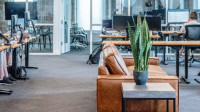 Business Cleaning