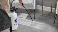 Pet Urine Odor Removal