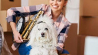 Move-In & Move-Out Cleaning