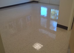 Vinyl Flooring