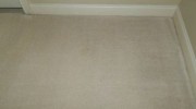 Carpet Cleaning