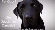 Lincoln Steam Carpet Cleaning 30% Off sale