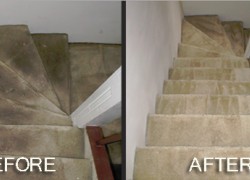 Carpet Cleaning