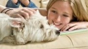 Upholstery Cleaning