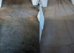 Titan Carpet and Floor Care Before and After Same Day Carpet Cleaning