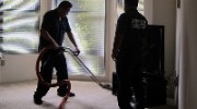 Carpet Cleaning