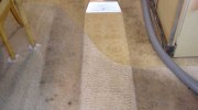 Carpet Cleaning