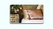 Upholstery Cleaning
