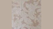 Upholstery Cleaning