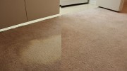 Carpet Dyeing & Bleach Repair