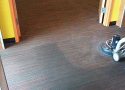 Commercial Carpet Cleaning by D&G Carpet Cleaning