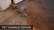 Carpet Repair