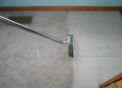 Carpet Cleaning Process
