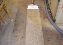 Carpet Cleaning