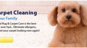 Carpet Cleaning