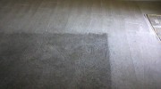 Carpet Cleaning