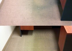 Titan Carpet and Floor Care Before and After Same Day Carpet Cleaning