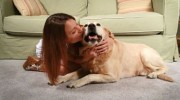 Carpet Cleaning