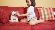Upholstery Cleaning