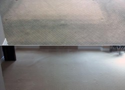 Titan Carpet and Floor Care Before and After Same Day Carpet Cleaning