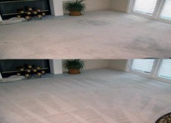Titan Carpet and Floor Care Before and After Same Day Carpet Cleaning