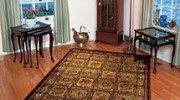 Rug Cleaning