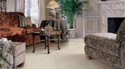 Carpet Cleaning